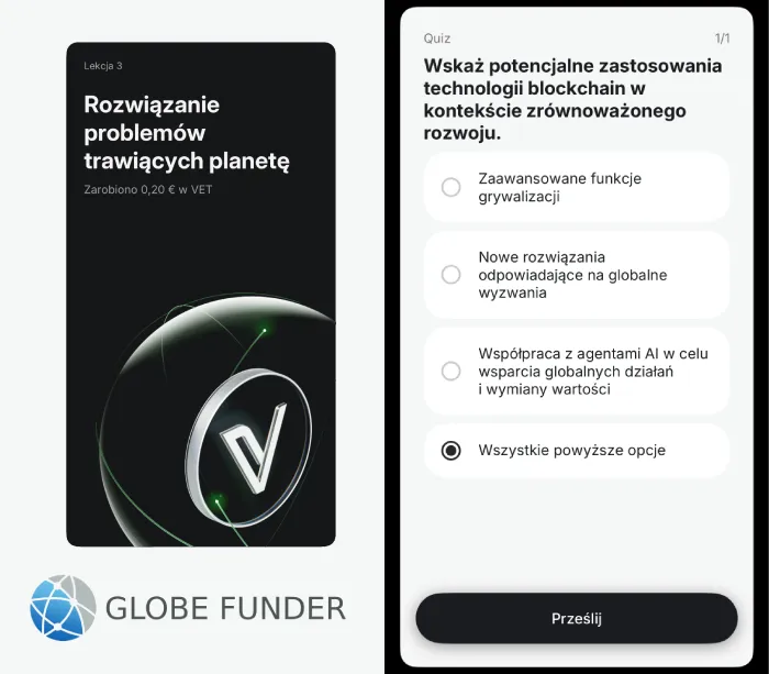 Rozwiązanie problemów trawiących planetę odpowiedzi